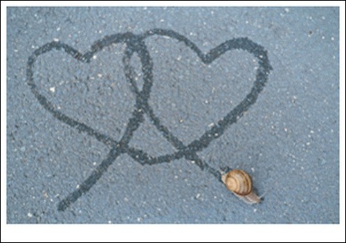 Poborsky rudiger hearts and - hearts,